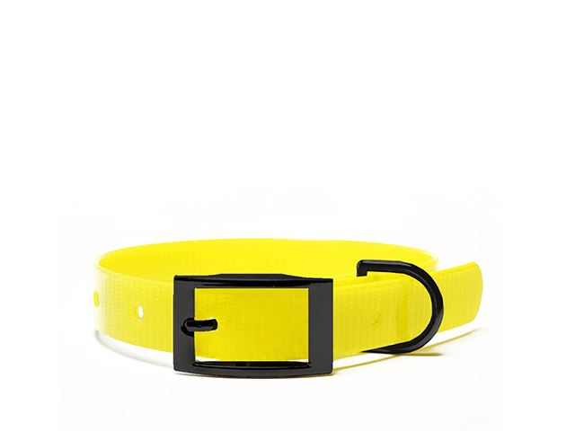 Biothane_collar_black_deluxe_gold_yellow_small_web