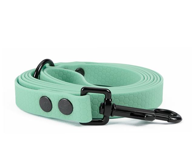 Hexa_leash_16_19mm_baby_blue_riveted_black_snap_hook_small_web