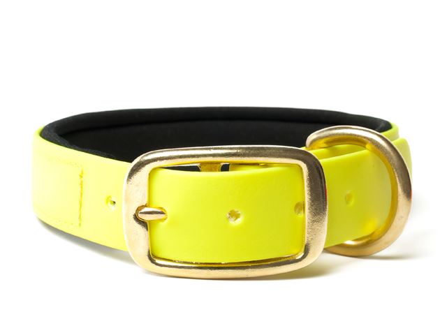 Biothane_collar_deluxe_brass_neopren_neon_yellow_small_web
