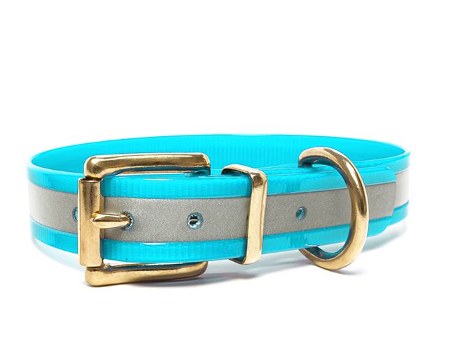 Biothane_collar_classic_brass_reflex_turquoise_gold_small_web