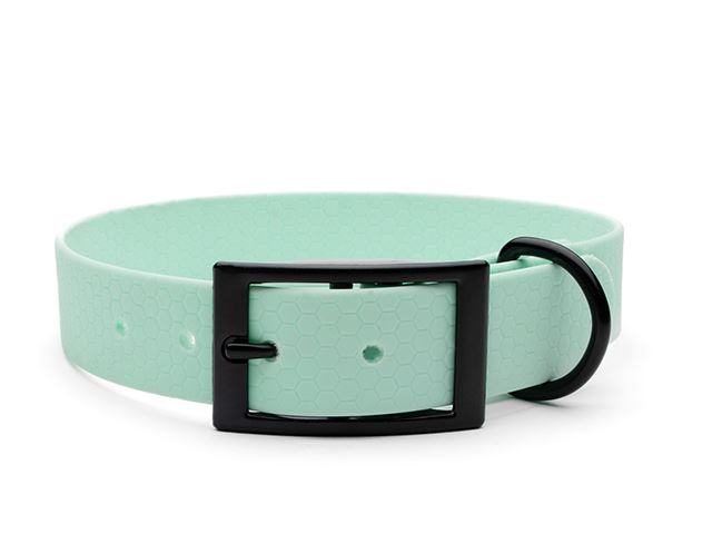 Hexa_collar_black_deluxe_baby blue_small_web