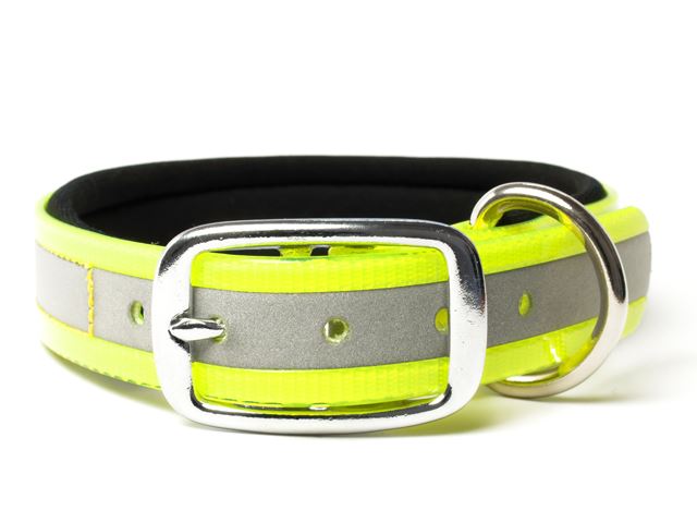 Biothane_collar_deluxe_neopren_gold_reflective_yellow_small_web