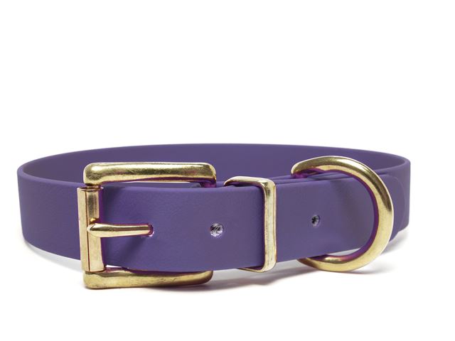 Biothane_collar_classic_brass_lila_small_web