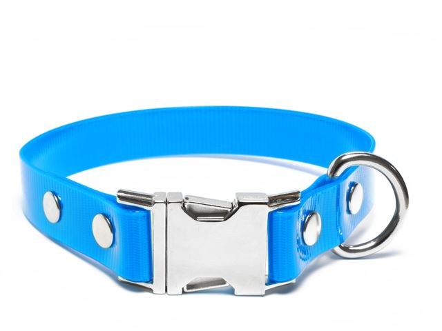 Biothane_collar_click_gold_light_blue_small_web