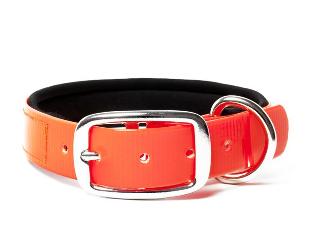 Biothane_collar_deluxe_neopren_gold_orange_small_web