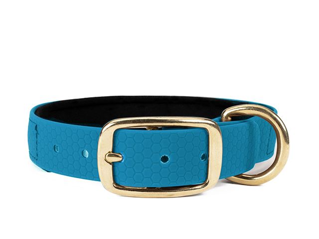 Hexa_collar_brass_deluxe_light_blue_neoprene_small_web