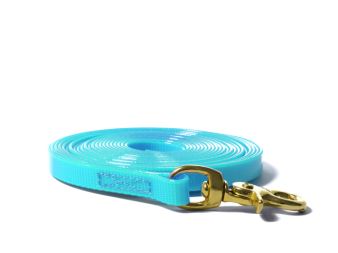 Biothane_tracking_leash_sewn_13mm_brass_trigger_hook_gold_turquoise_small_web