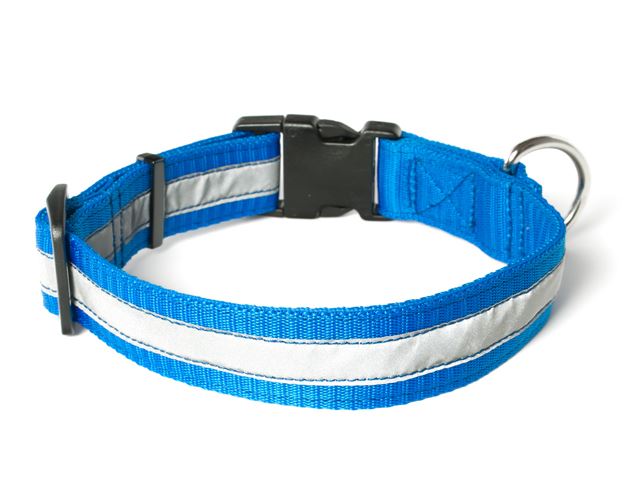 Nylon_collar_profi_reflective_blue_02_small_web