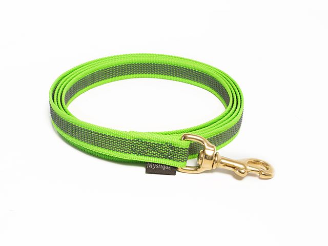 Rubbered_leash_20mm_brass_neon_green_small_web