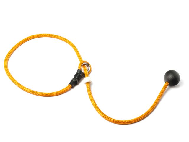 Short_leash_6mm_orange_small_web