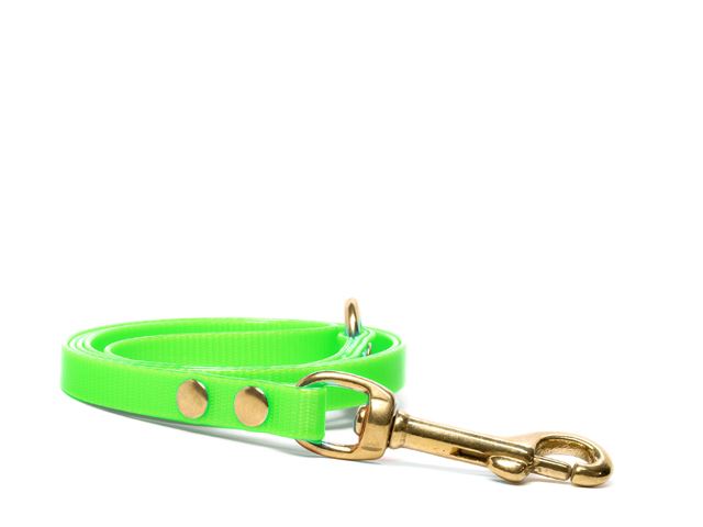 Biothane_leash_riveted_13mm_with_handgrip_brass_snap_hook_light_green_small_web