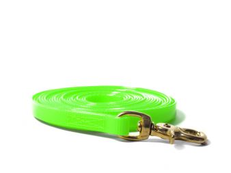 Mystique® Biothane tracking leash light green gold