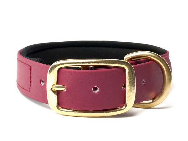 Biothane_collar_deluxe_brass_neopren_winered_small_web