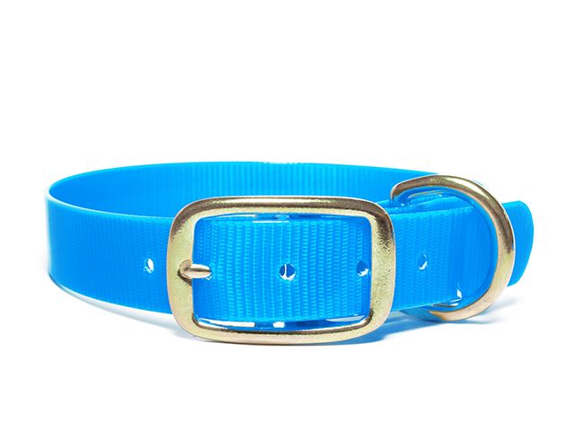 Biothane_collar_deluxe_brass_light_blue_gold_small_web