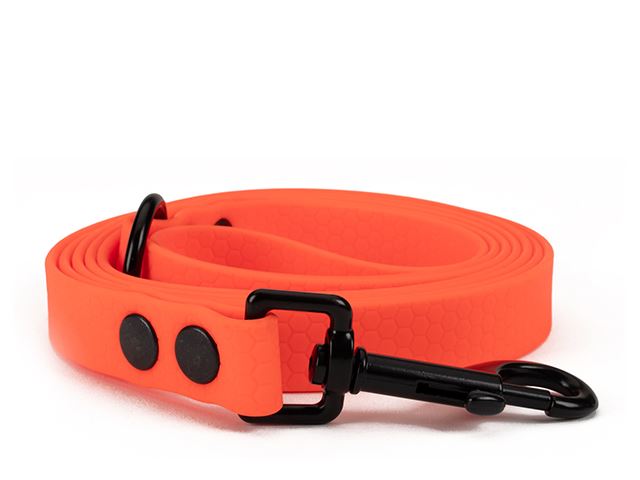 Hexa_leash_16_19mm_neon_orange_riveted_black_snap_hook_small_web