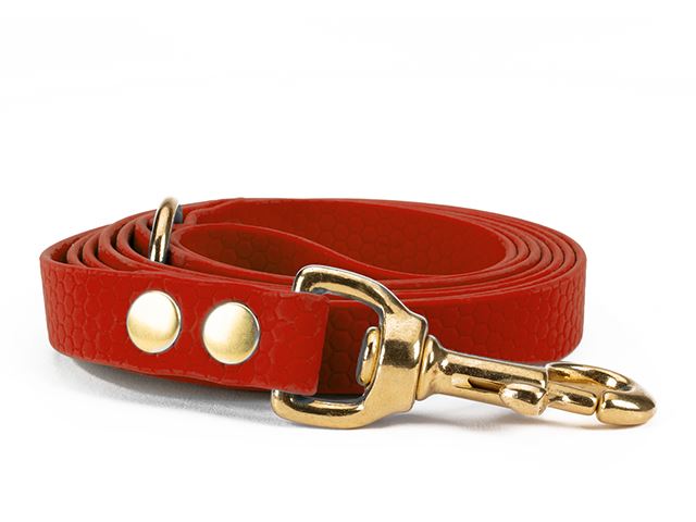 Hexa_leash_16_19mm_brass_riveted_red_small_web