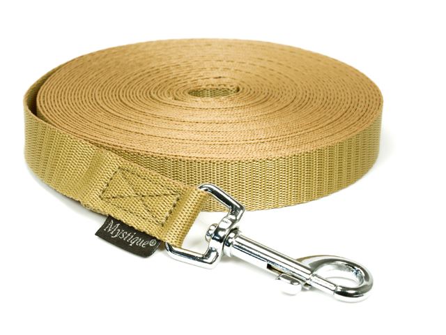 Nylon tracking leash standard 20mm beige
