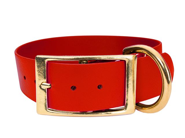 Biothane_deluxe_collar_38mm_red_brass__small_web