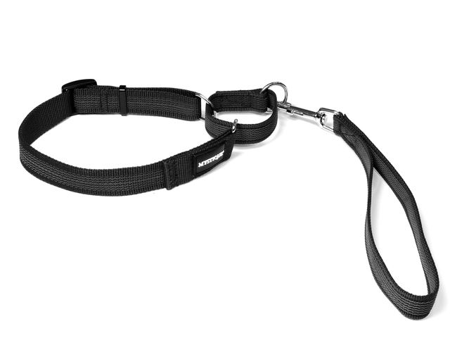 Rubbered_agility_leash_black_small_web
