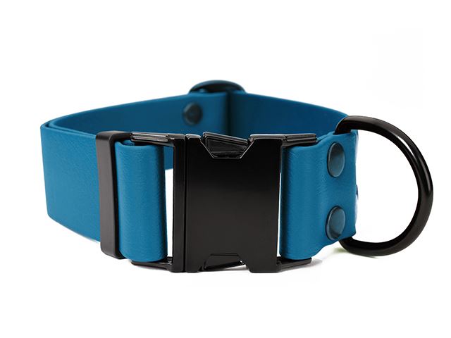 Biothane_click_collar_38mm_black_light_blue_small_web