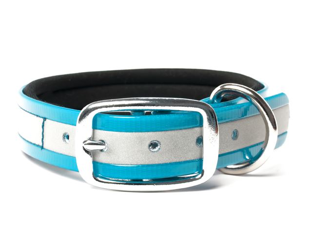 Biothane_collar_deluxe_neopren_gold_reflective_turquoise_small_web