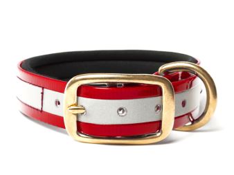 Biothane_collar_deluxe_brass_neopren_gold_reflective_red_small_web