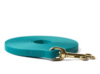 Biothane_tracking_leash_brass_snap_hook_13mm_sewn_light_green_small_web