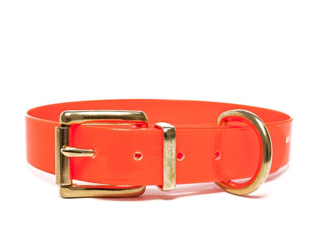 Biothane_collar_classic_brass_orange_gold_small_web