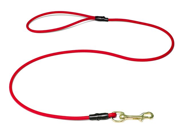 Biothane_round_leash_with_HG_red_brass_snap_hook_small_web