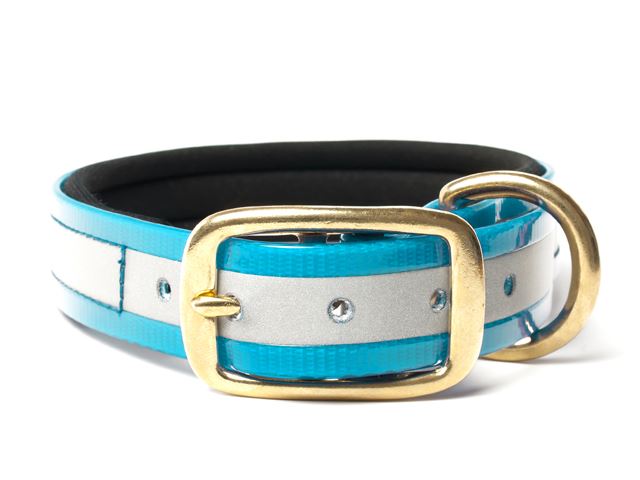 Biothane_collar_deluxe_brass_neopren_gold_reflective_turquoise_small_web