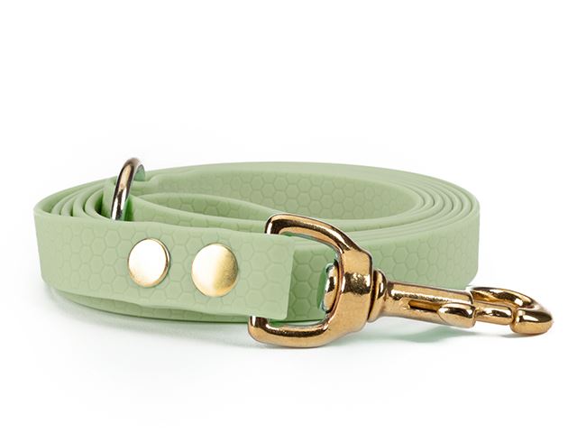 Hexa_leash_16_19mm_brass_riveted_mint_green_small_web