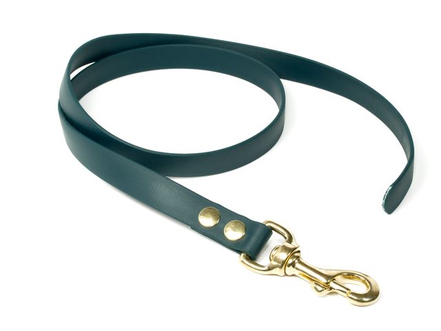Biothane_leash_19mm_solid_brass_green_small_web