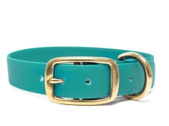 Biothane_collar_deluxe_brass_light_green_small_web