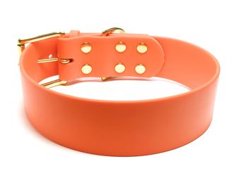 Biothane_collar_classic_50mm_brass_backside_neon_orange_small_web (1)