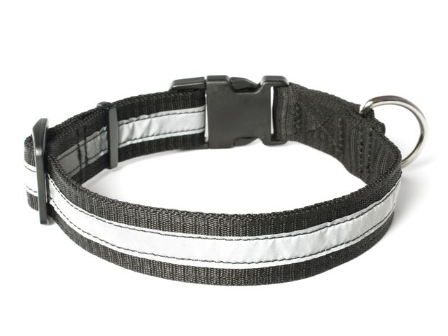 Nylon_collar_profi_reflective_black_02_small_web