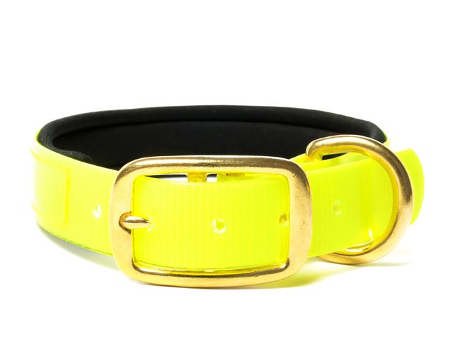 Biothane_collar_deluxe_brass_neopren_gold_yellow_small_web