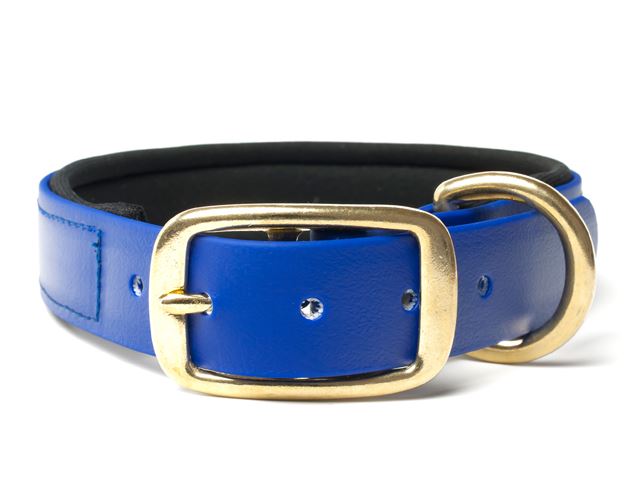 Biothane_collar_deluxe_brass_neopren_blue_small_web