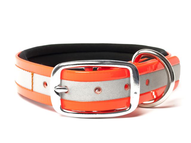 Biothane_collar_deluxe_neopren_gold_reflective_orange_small_web