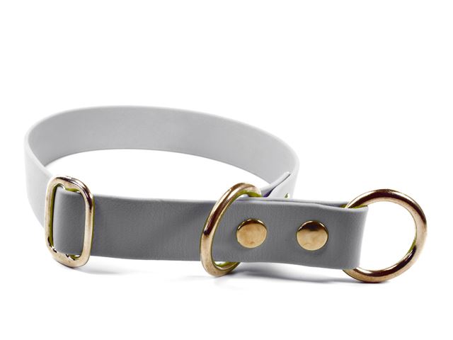 Biothane_half_choke_collar_solid_brass_grey_small_web
