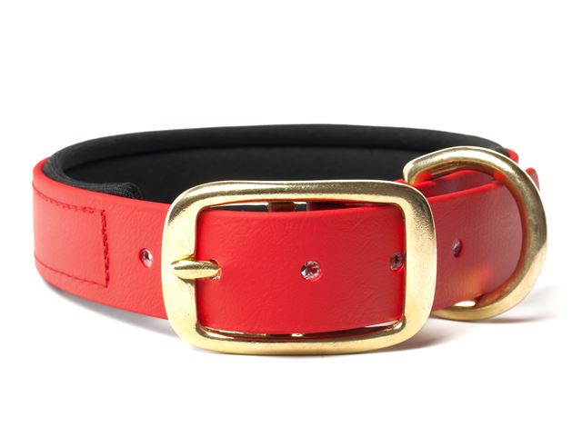 Biothane_collar_deluxe_brass_neopren_red_small_web