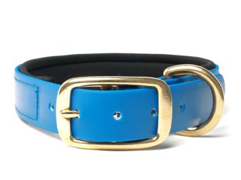 Biothane_collar_deluxe_brass_neopren_light_blue_small_web