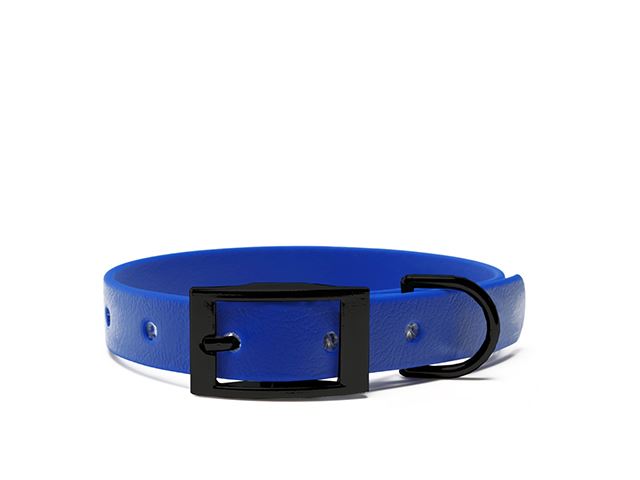 Biothane_collar_25mm_black_deluxe_blue_big_web