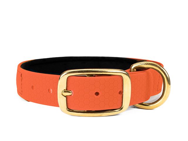 Hexa_collar_brass_deluxe_neon_orange_neoprene_small_web