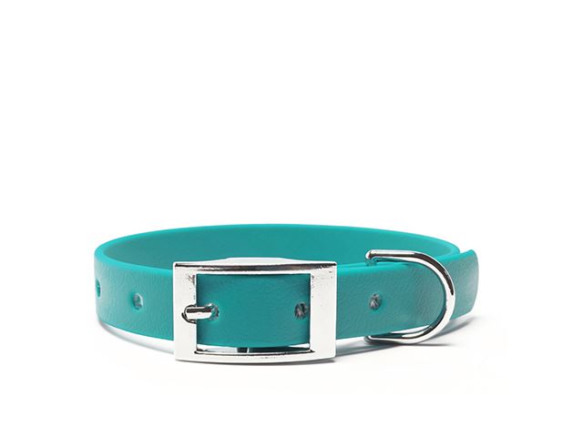 Biothane_collar_16mm_deluxe_light_green_small_web