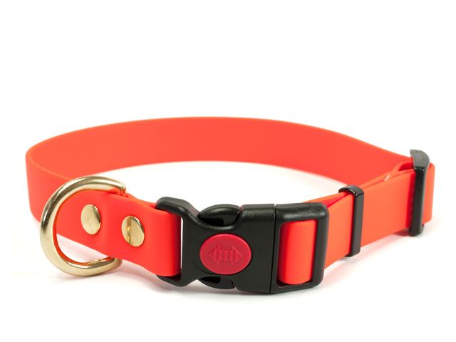 Biothane_collar_safety_click_solid_brass_neon_orange_small_web