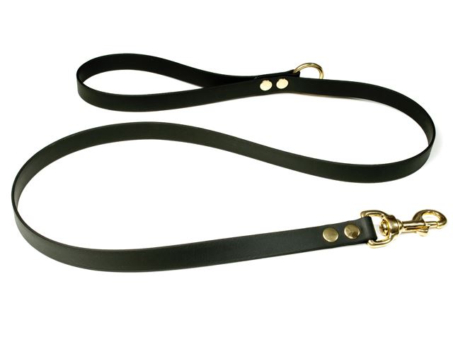 Biothane_leash_with_HG_19mm_solid_brass_black_small_web