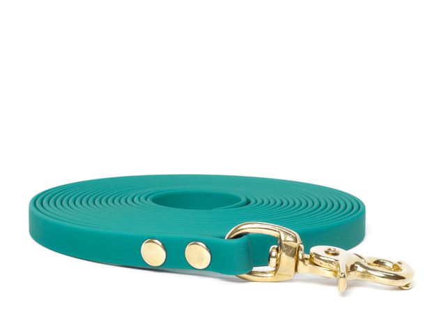 Biothane_tracking_leash_9_13mm_light_green_brass_trigger_small_web