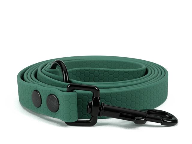 Hexa_leash_16_19mm_green_riveted_black_snap_hook_small_web
