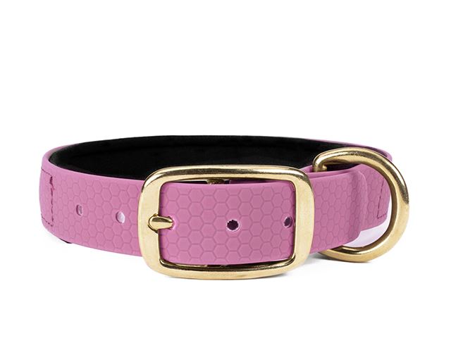 Hexa_collar_brass_deluxe_pastel_lavender_neoprene_small_web