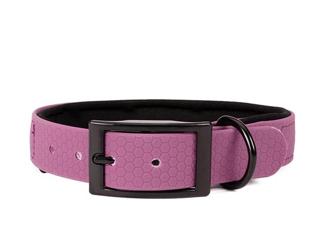 Hexa_collar_black_deluxe_neoprene_pastel lavender_small_web
